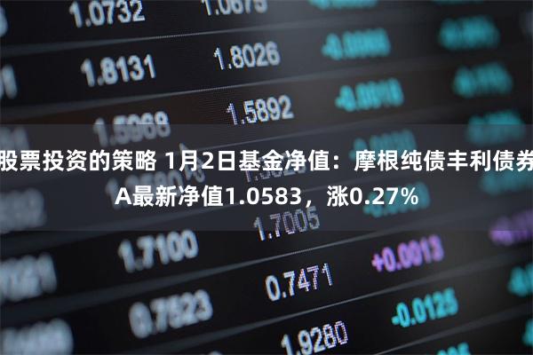 股票投资的策略 1月2日基金净值：摩根纯债丰利债券A最新净值1.0583，涨0.27%