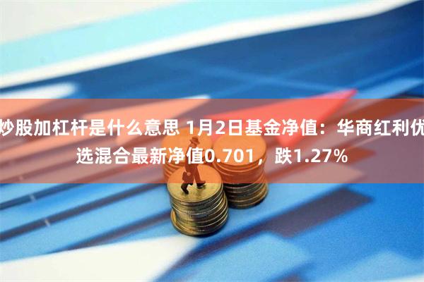 炒股加杠杆是什么意思 1月2日基金净值：华商红利优选混合最新净值0.701，跌1.27%