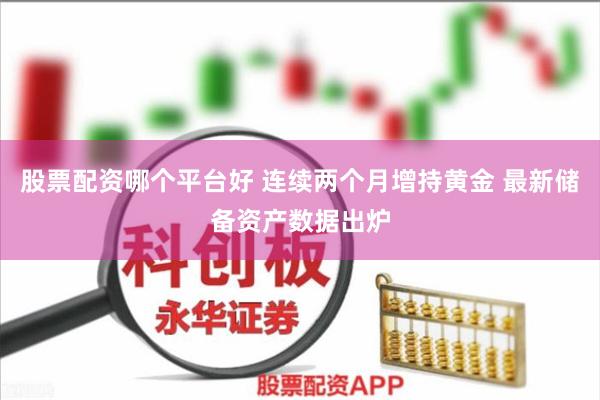 股票配资哪个平台好 连续两个月增持黄金 最新储备资产数据出炉