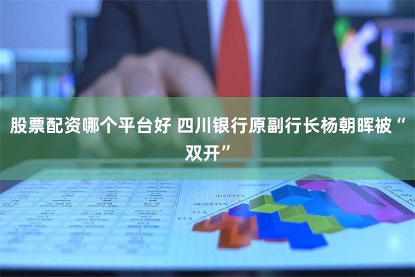 股票配资哪个平台好 四川银行原副行长杨朝晖被“双开”